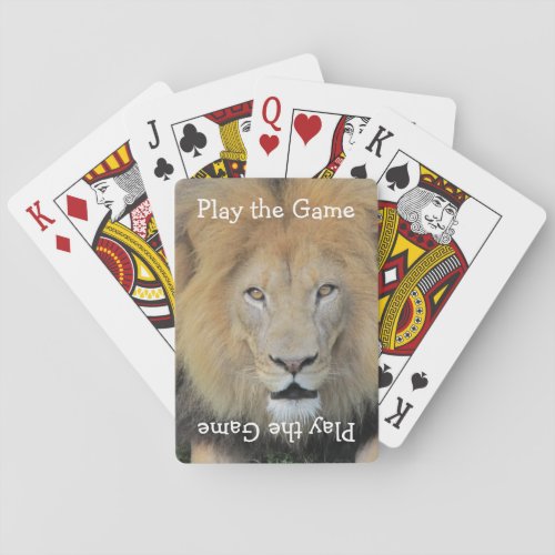 Close_up Lion picture Poker Cards