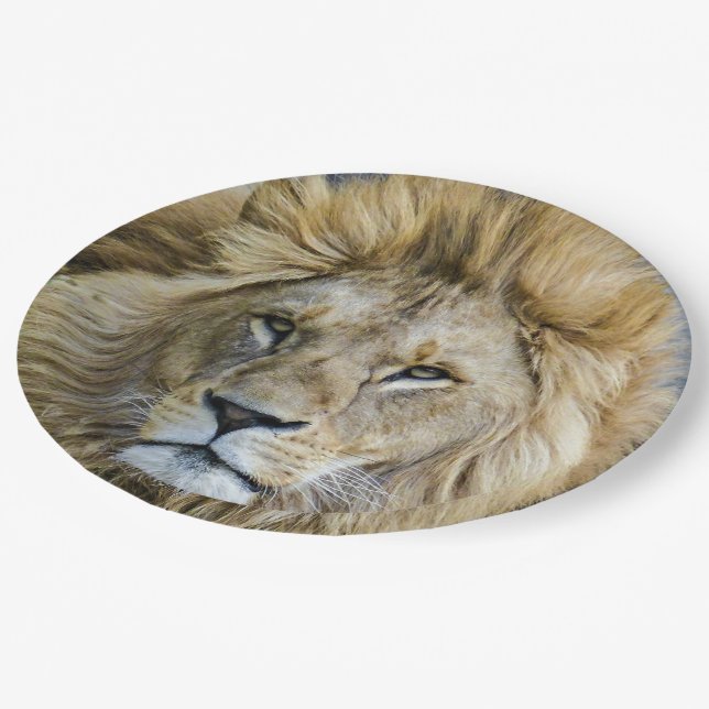 Close Up Lion's Head Paper Plates (Angled)