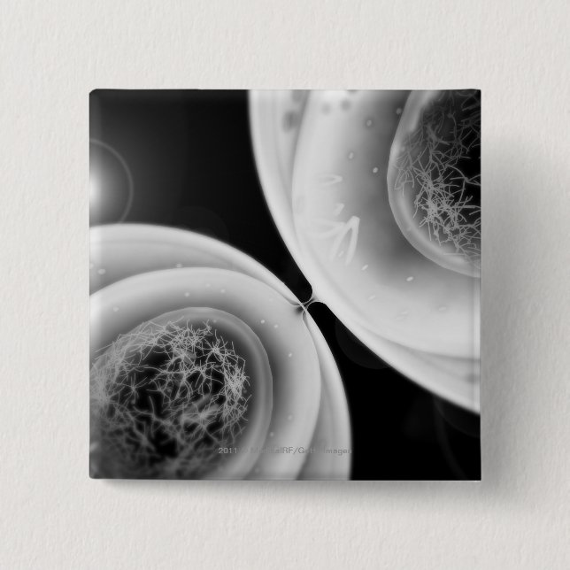 Close up look at cell division button (Front)