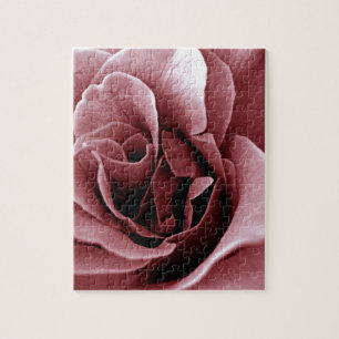 Close Up Monochrome Rose Flower Jigsaw Puzzle