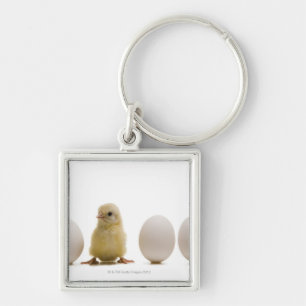 Close-up of a baby chick with three eggs keychain