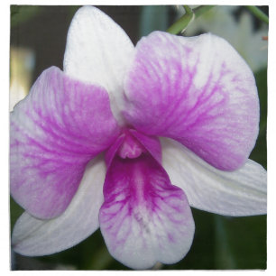 close up of a beautiful purple and white orchid cloth napkin
