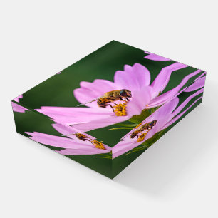 Close-Up of a Bee on Purple Flower Paperweight