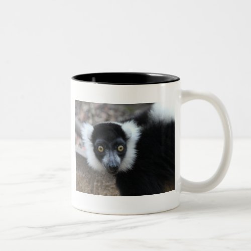 Close up of a Black and White Ruffed Lemur Two_Tone Coffee Mug