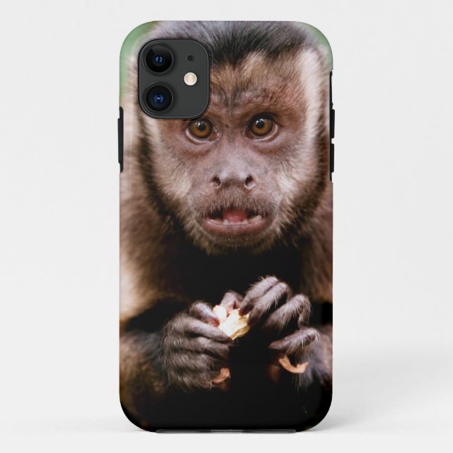 Close-up of a black-capped capuchin monkey Case-Mate iPhone case (Back)