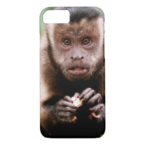 Close_up of a black_capped capuchin monkey iPhone 87 case