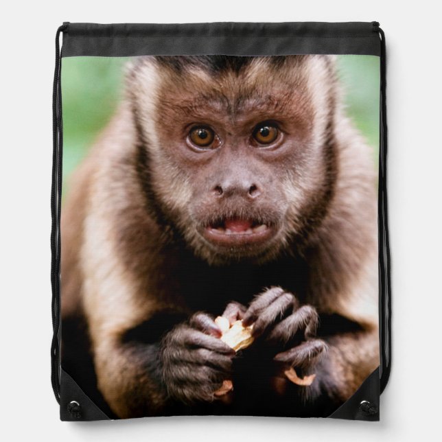 Close-up of a black-capped capuchin monkey drawstring bag (Front)