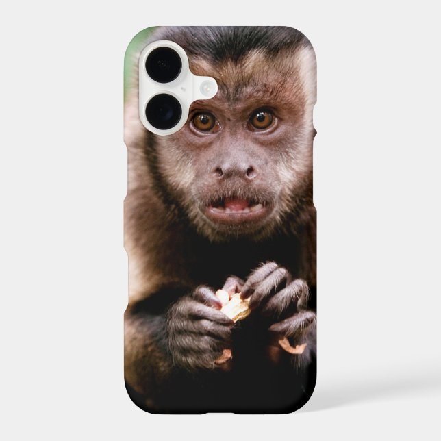 Close-up of a black-capped capuchin monkey iphone case (Back)