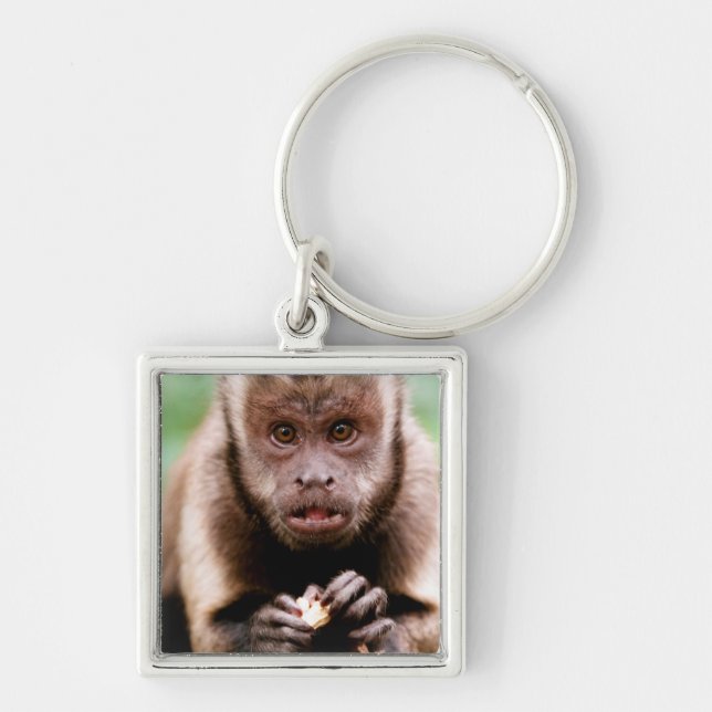 Close-up of a black-capped capuchin monkey keychain (Front)