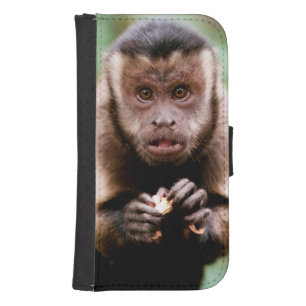 Close-up of a black-capped capuchin monkey phone wallet