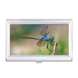 Close-Up Of A Blue Dragon Fly On A Branch Case For Business Cards