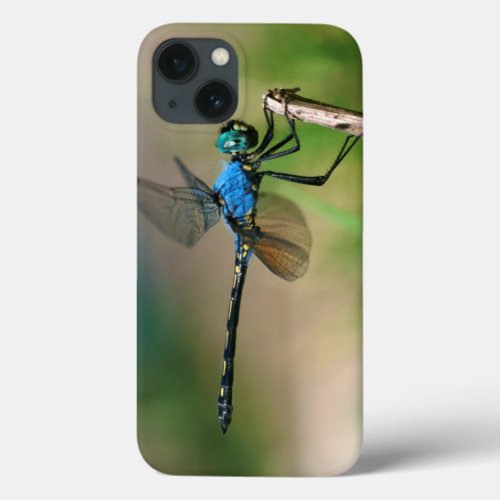 Close_Up Of A Blue Dragon Fly On A Branch iPhone 13 Case