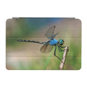 Close-Up Of A Blue Dragon Fly On A Branch iPad Mini Cover
