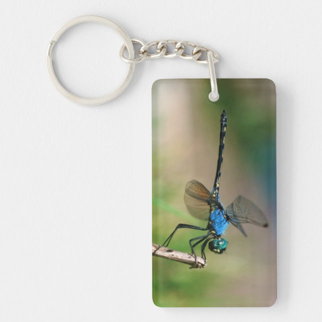 Close-Up Of A Blue Dragon Fly On A Branch Keychain (Front)