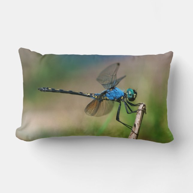 Close-Up Of A Blue Dragon Fly On A Branch Lumbar Pillow (Front)