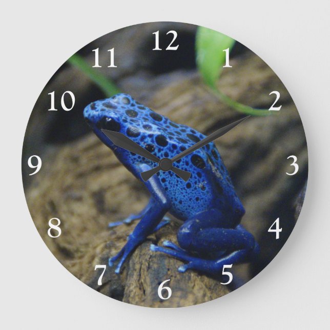 Close up of a Blue Poision Dart Frog  Square Wall  Large Clock (Front)