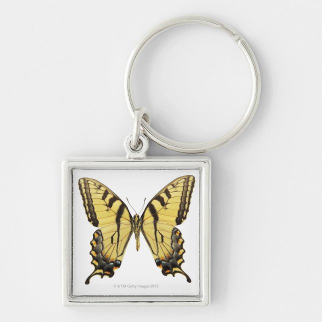 Close-up of a butterfly 2 keychain (Front)