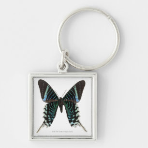 Close-up of a butterfly keychain