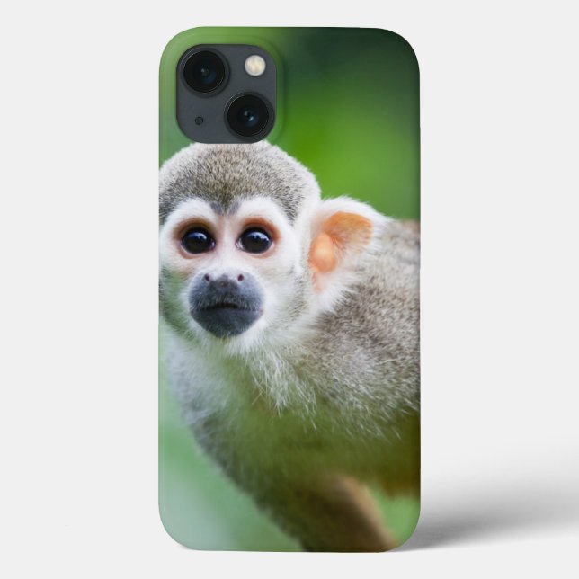 Close-up of a Common Squirrel Monkey Case-Mate iPhone Case (Back)