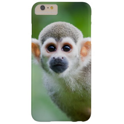 Close_up of a Common Squirrel Monkey Barely There iPhone 6 Plus Case