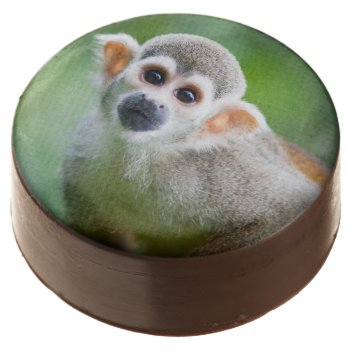 Close-up Of A Common Squirrel Monkey Chocolate Dipped Oreo by wildlifecollection at Zazzle