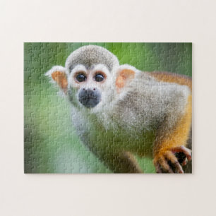 Close-up of a Common Squirrel Monkey Jigsaw Puzzle