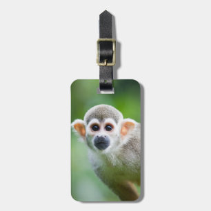 Close-up of a Common Squirrel Monkey Luggage Tag