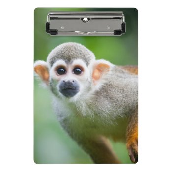 Close-up Of A Common Squirrel Monkey Mini Clipboard by wildlifecollection at Zazzle