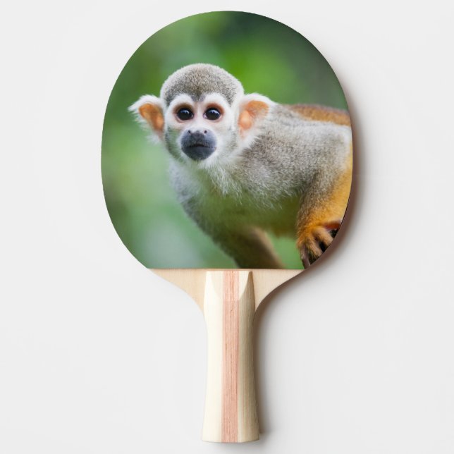Close-up of a Common Squirrel Monkey Ping-Pong Paddle (Front)