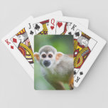 Close-up Of A Common Squirrel Monkey Playing Cards at Zazzle