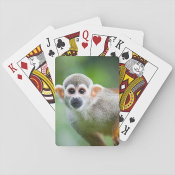 Close-up Of A Common Squirrel Monkey Playing Cards by wildlifecollection at Zazzle