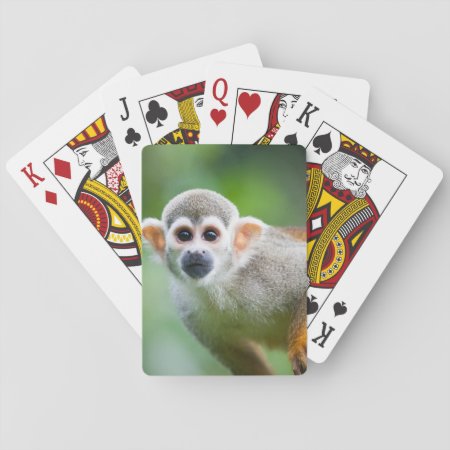 Close-up Of A Common Squirrel Monkey Playing Cards