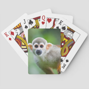 Close-up of a Common Squirrel Monkey Poker Cards