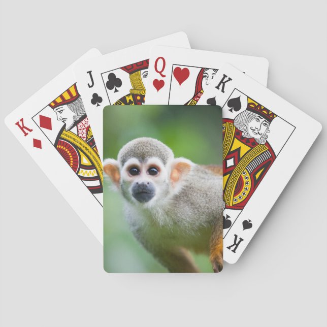 Close-up of a Common Squirrel Monkey Poker Cards (Back)