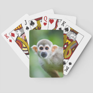 Close-up of a Common Squirrel Monkey Poker Cards