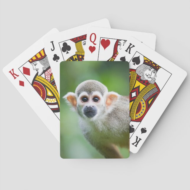 Close-up of a Common Squirrel Monkey Poker Cards (Back)