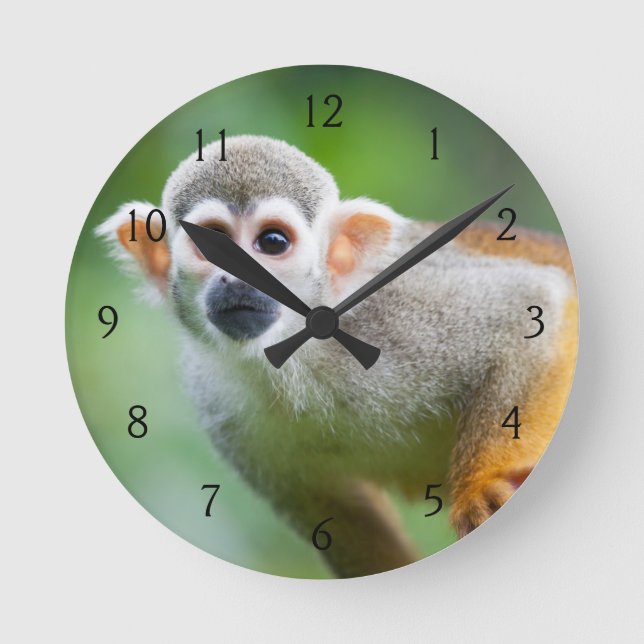Close-up of a Common Squirrel Monkey Round Clock (Front)