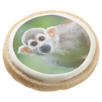 Close-up Of A Common Squirrel Monkey Sugar Cookie by wildlifecollection at Zazzle