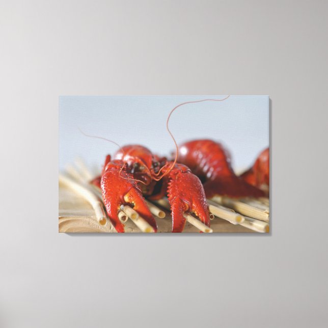 Close-up of a crab on sticks canvas print (Front)