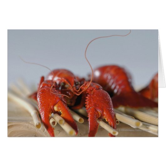 Close-up of a crab on sticks cards (Front Horizontal)
