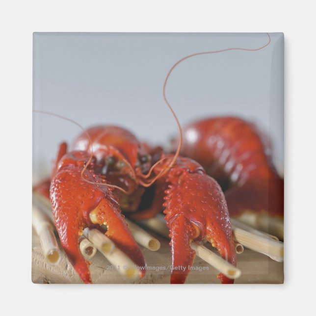Close-up of a crab on sticks magnet (Front)