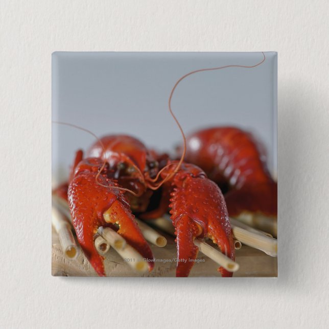 Close-up of a crab on sticks pinback button (Front)