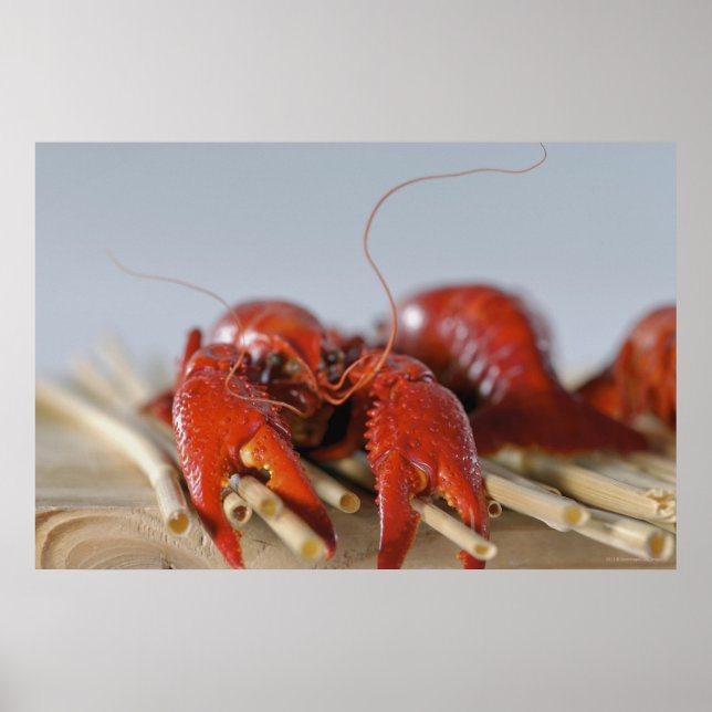 Close-up of a crab on sticks poster (Front)
