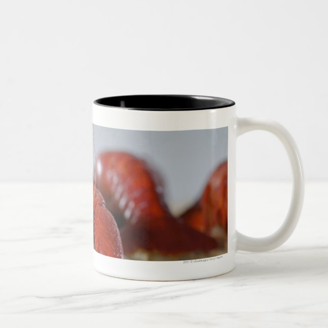 Close-up of a crab on sticks Two-Tone coffee mug (Right)