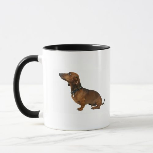 Close up of a dachshund mug