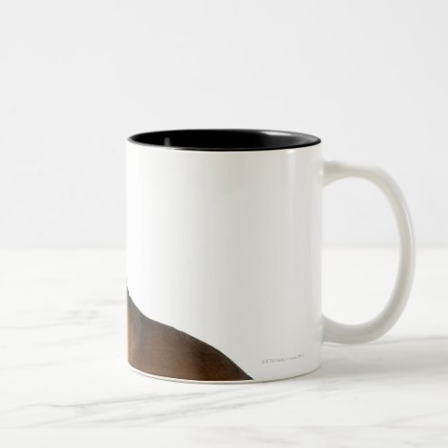 Close up of a dachshund Two_Tone coffee mug