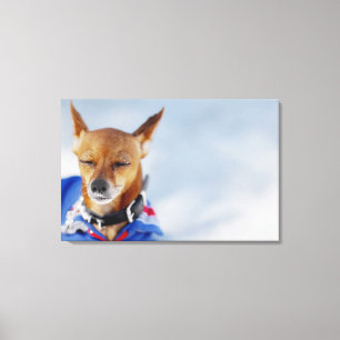 Close-up of a dog 2 canvas print