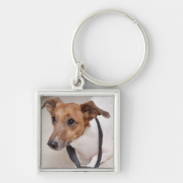 Close-up of a dog putting on a tie keychain (Front)