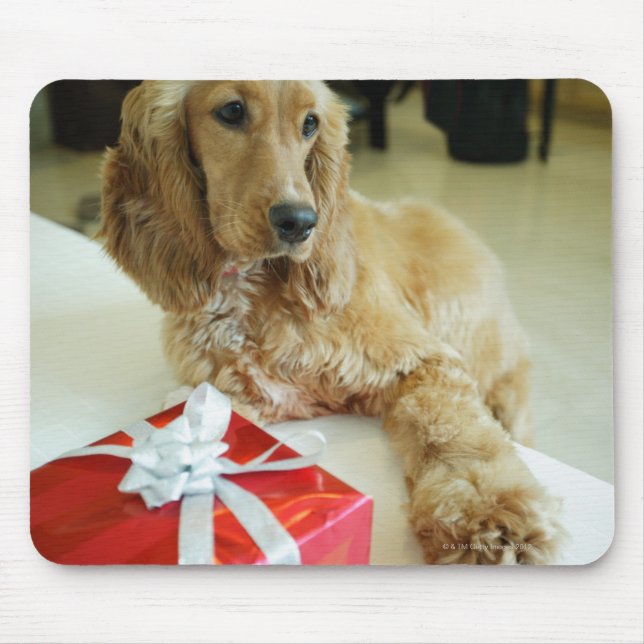 Close-up of a dog with a gift mouse pad (Front)
