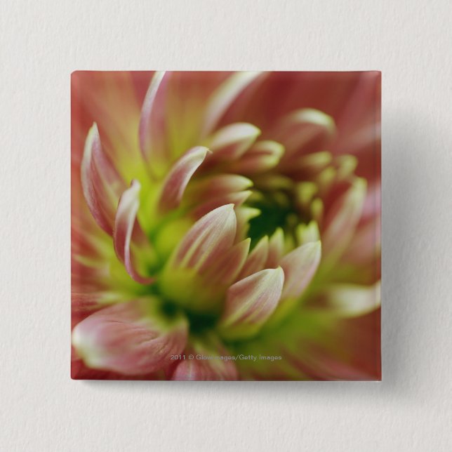 Close-up of a flower pinback button (Front)